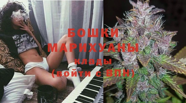 гидра Заволжск