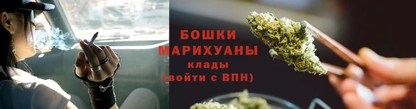 гидра Заволжск