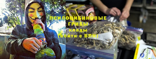 гидра Заволжск