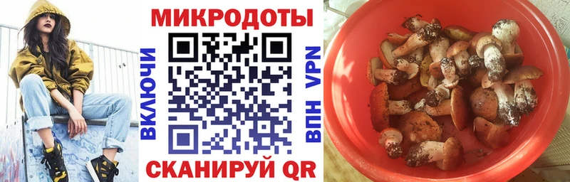 Псилоцибиновые грибы Magic Shrooms  Купить закладки  Ишимбай 